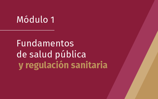 Módulo 1. Fundamentos de Salud Pública y Regulación Sanitaria (2025)