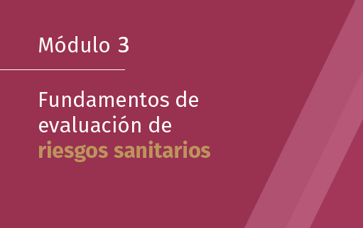 Módulo 3. Fundamentos de evaluación de riesgos sanitarios (2025)